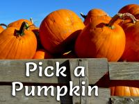 Pick_a_Pumpkin